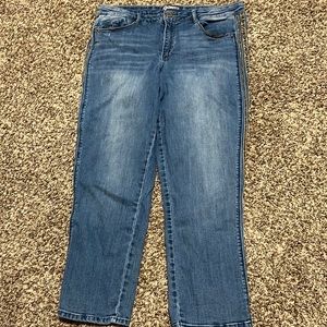 Democracy Jeans with Leopard Stripe 16